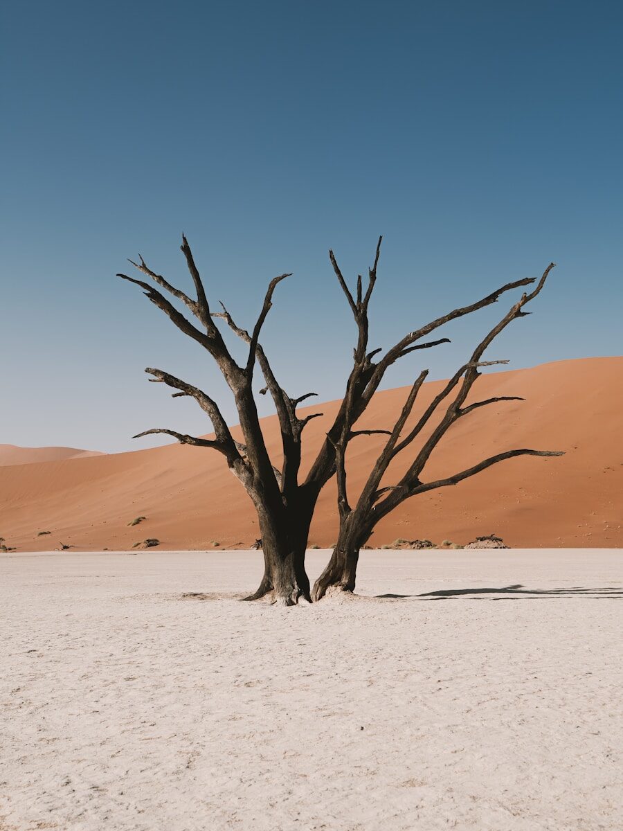 International Cooperation on Human Rights