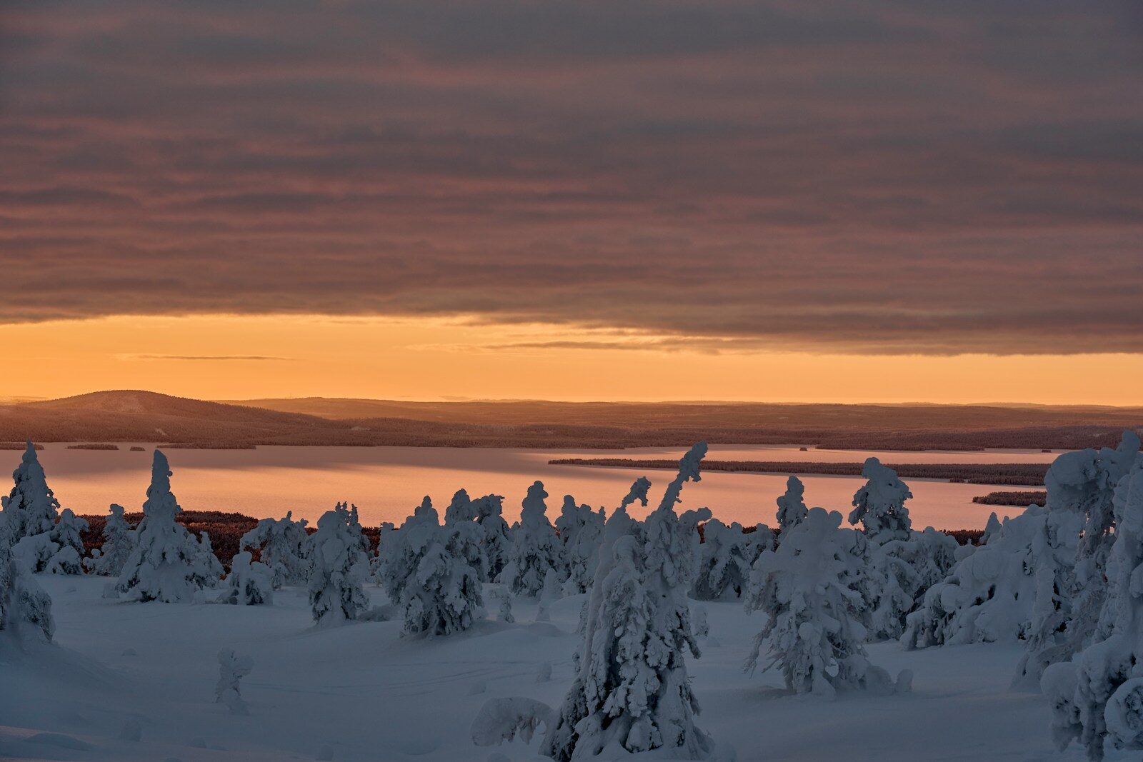 Deportation Hearings